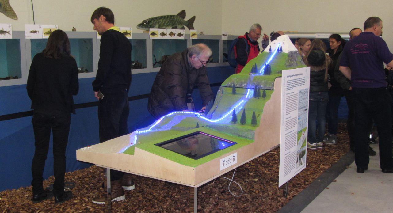 bild 111